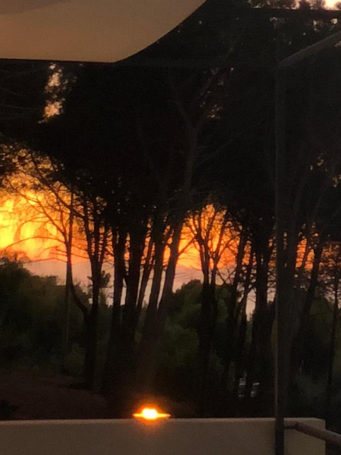 Ilenia Seaview Lägenhet Cefalù Exteriör bild